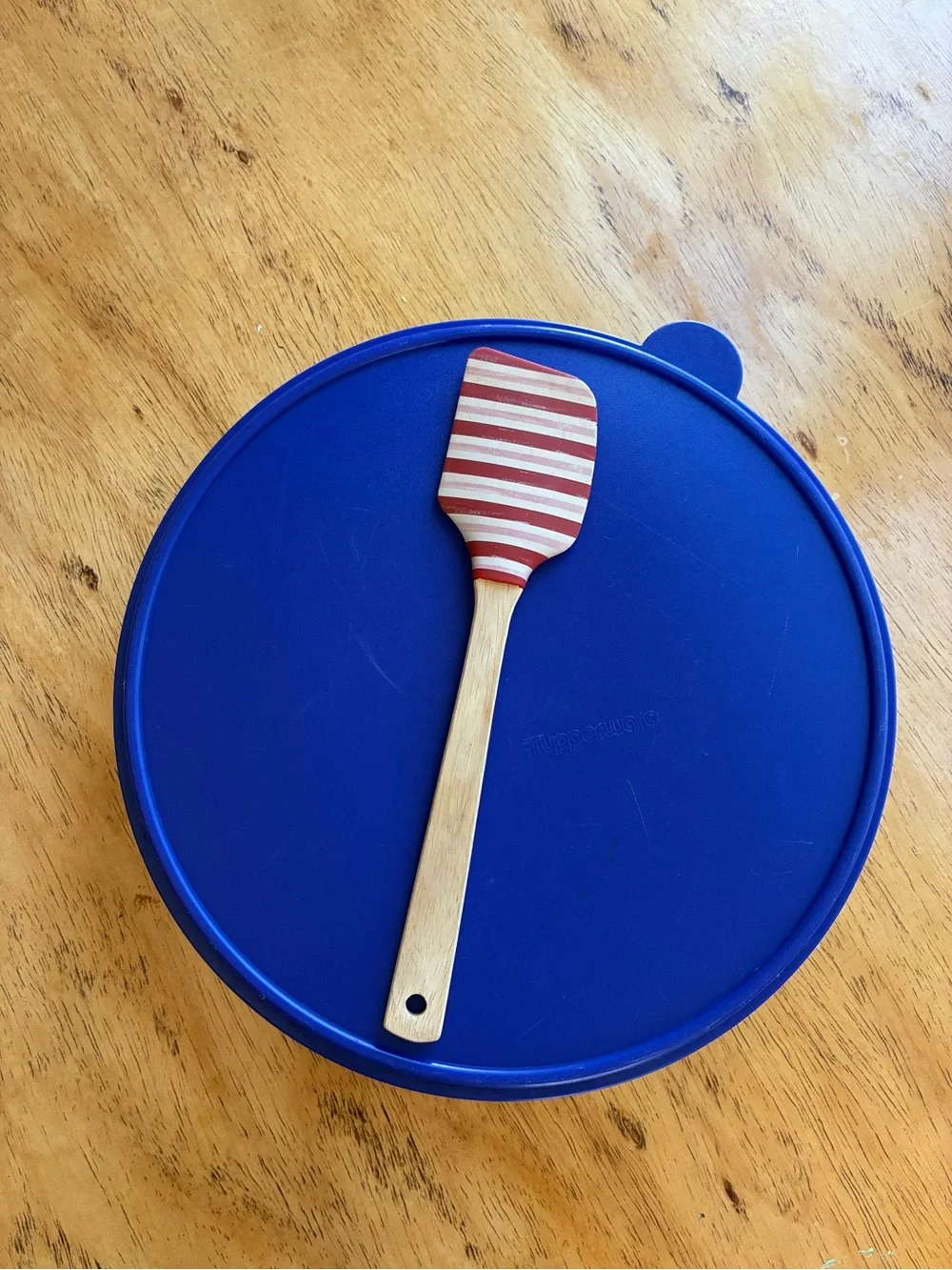 Tupperware Round Storage Lids in Translucent White and Blue